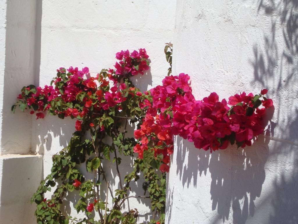 Masseria Bianca Di Puglia Monopoli Phòng bức ảnh